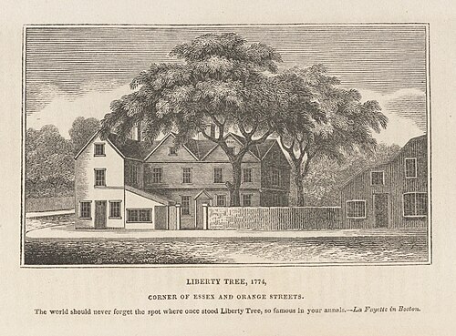 Liberty Tree