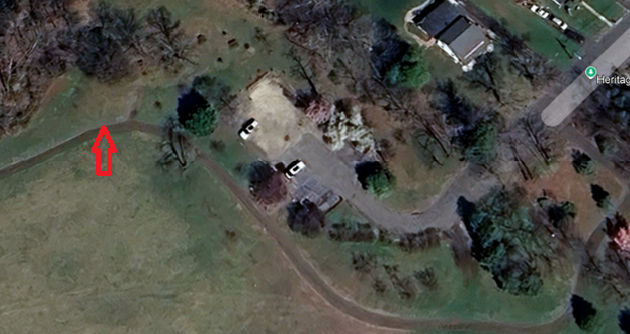 Liberty Tree Location