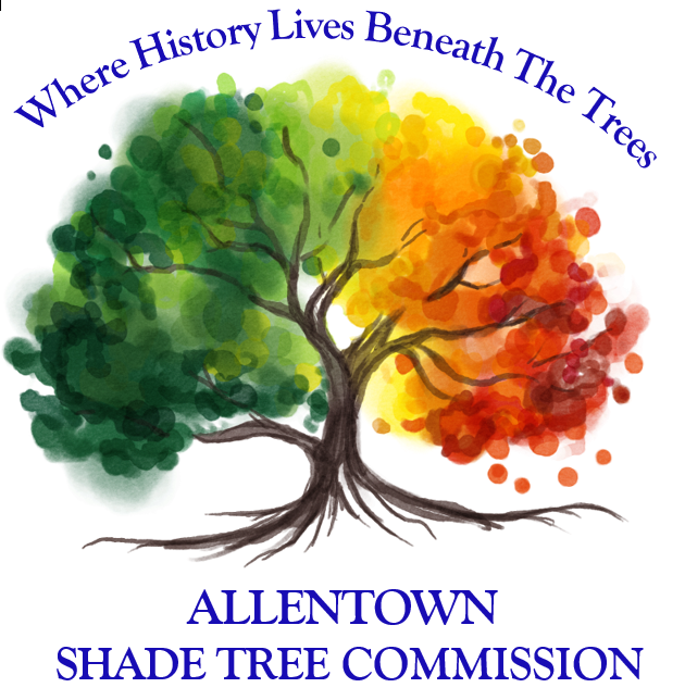 Shade Tree